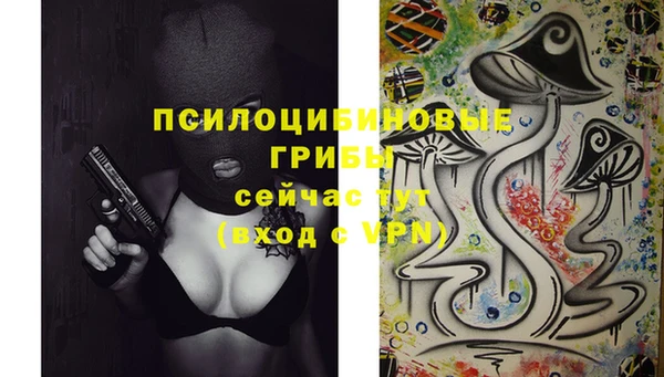 тгк Бугульма