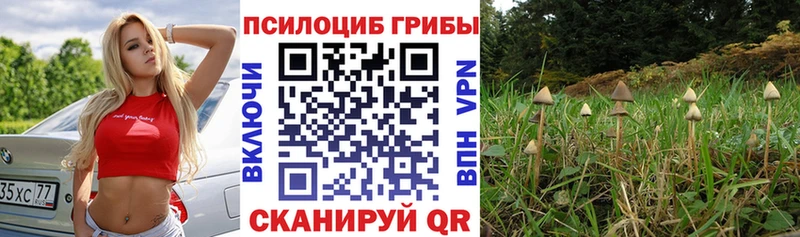 Галлюциногенные грибы мухоморы Одинцово